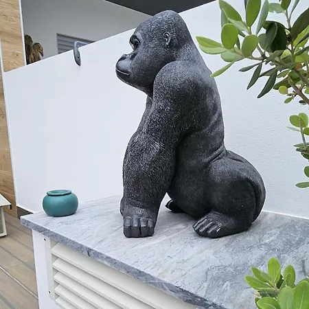 Loft N6 Appartement *